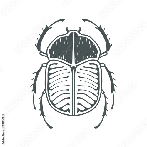  line art of exoskeleton pattern insects on the white background