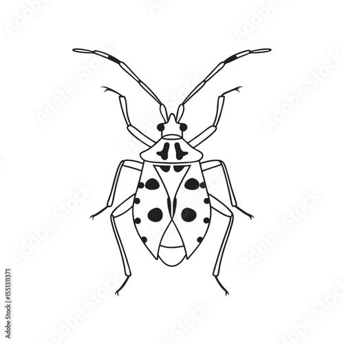 line art of kissing bug  insects on the white background