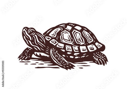 Yellow-Bellied Slider Hand Drawn Natural Illustration Stylized as Linocut Vector Isolated by AZ for Books, Arts, Design and Decoration Graphic Asset