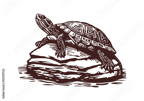 Yellow-Bellied Slider Hand Drawn Natural Illustration Stylized as Linocut Vector Isolated by AZ for Books, Arts, Design and Decoration Graphic Asset