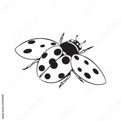  line art of ladybug with dotted wings  insects on the white background
