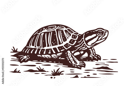 Yellow-Bellied Slider Hand Drawn Natural Illustration Stylized as Linocut Vector Isolated by AZ for Books, Arts, Design and Decoration Graphic Asset