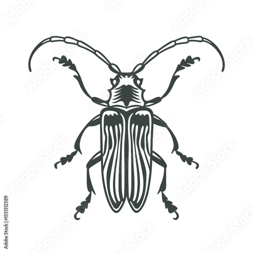 line art of longhorn beetle insects on the white background
