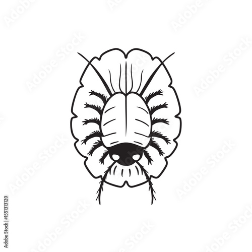   line art of mealybug  insects on the white background