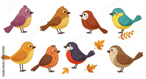 A cute collection of funny cartoon birds features an owl, sparrow, and duck in a colorful vector illustration