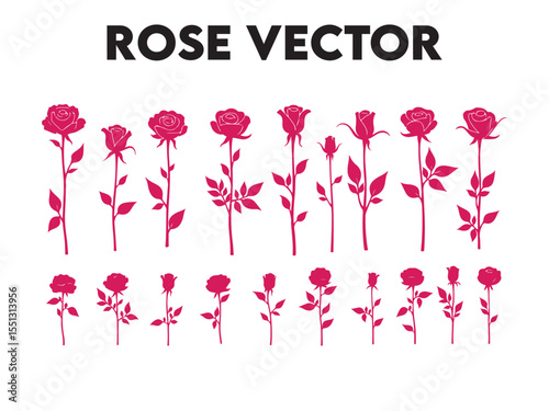 Pink Rose Silhouettes Vector Collection flower