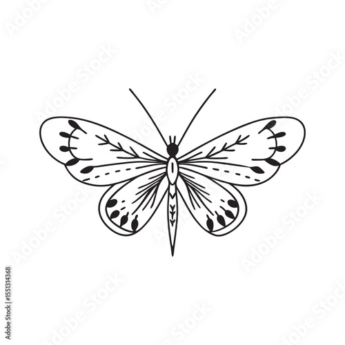  line art of rare butterfly species insects on the white background