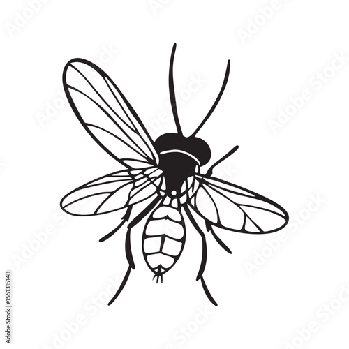  line art of small gnat flying nsects on the white background