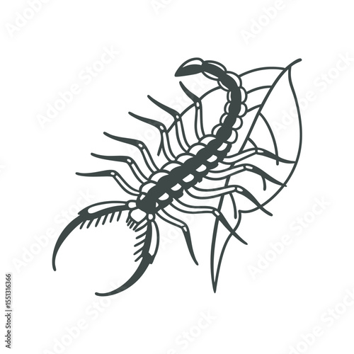   line art of tiny parasitic insect on the white background
