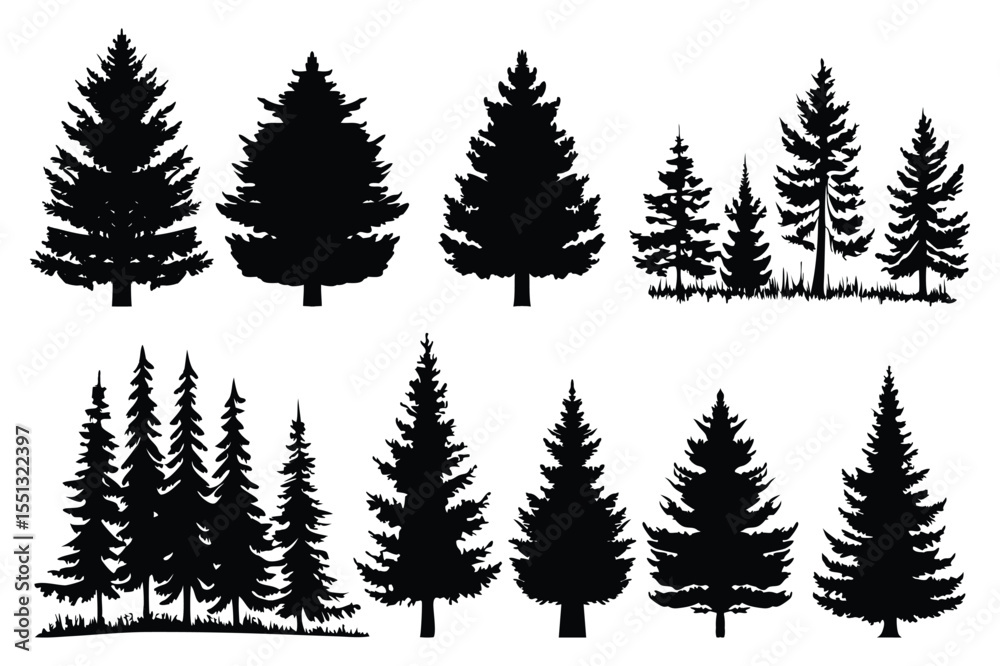 Fototapeta premium Evergreen forest tree vector collection – isolated pine and fir tree shapes