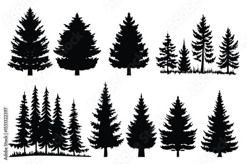 Evergreen forest tree vector collection – isolated pine and fir tree shapes