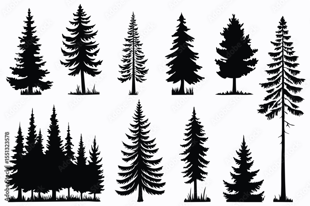 Fototapeta premium Evergreen forest tree vector collection – isolated pine and fir tree shapes