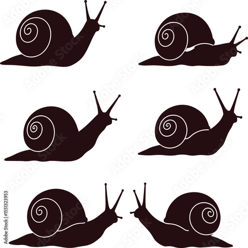 Stunning 4K Video Snail Silhouettes, Nature's Slow Motion Beauty