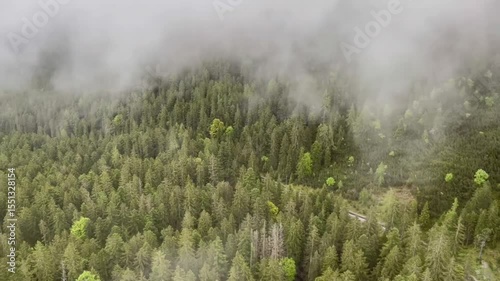 Aerial View of Misty Mountain Forest