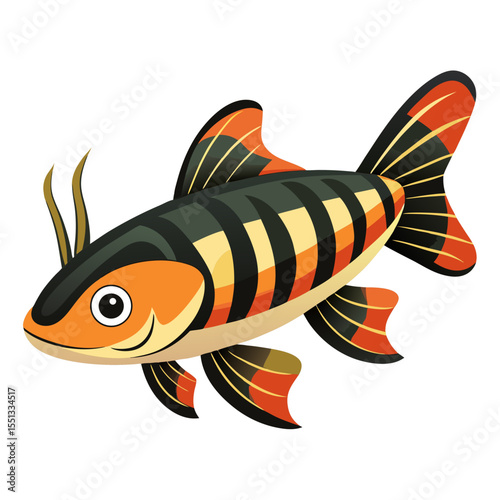 Simple Loach Fish Vector Style Illustration on White