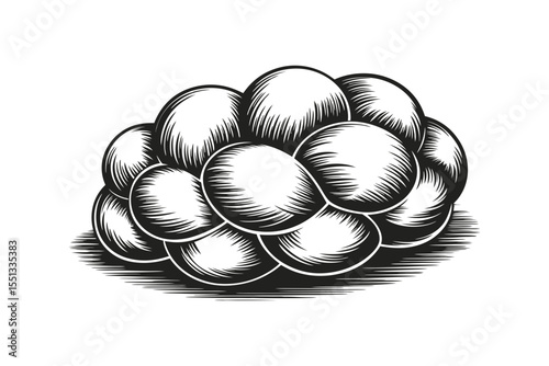 Rustic brded bread loaf detled in vintage hand drawn engraving style - vector illustration