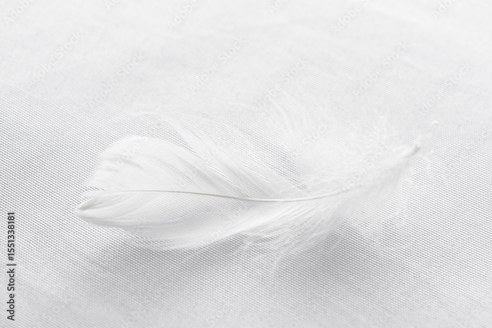 Obraz premium Closeup view of a soft feather on a white fabric