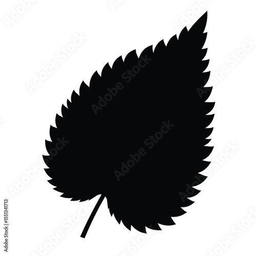 Black Silhouette Nettle Leaf Vector Icon White Background
