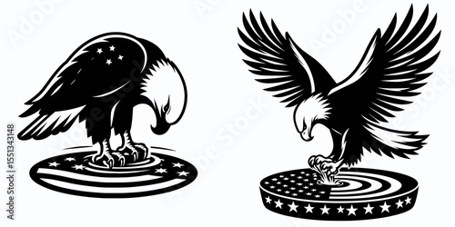 bald eagle dipping toes in patriotic pool. Independence Day 4th of July American Flag Patriotism Usa America Clipart Line Art Vector Illustration. fowl lowering appendage national emblem.