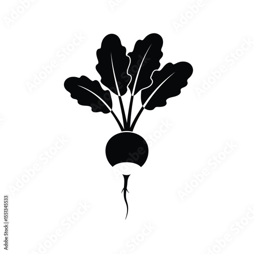 Black Radish Plant Silhouette Vector Icon vegetable