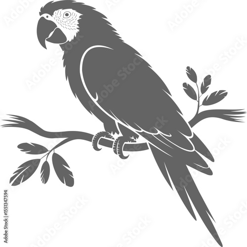 Showcasing a beautifully detailed illustration of a parrot perched on a branch, this design captures the vibrant essence of wildlife. 
