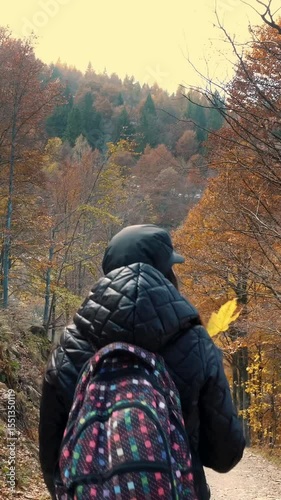 Autumn in the mountains. A girl, a hiker with a backpack, walks through the autumn forest in the Alps, Italy. Active lifestyle. Autumn mountain landscape where tree leaves display shades of red, orang