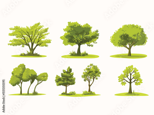 A natural set of four isolated trees with green leaves and branches
