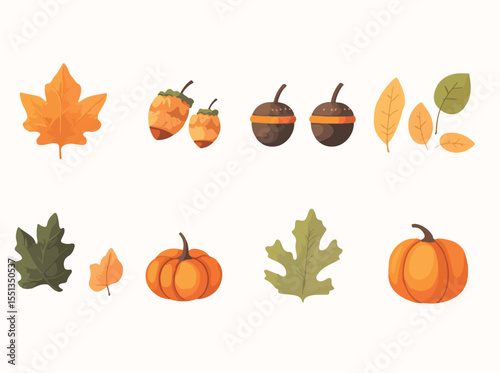 Autumn Harvest Pumpkins Acorns and Leaves on a White Background