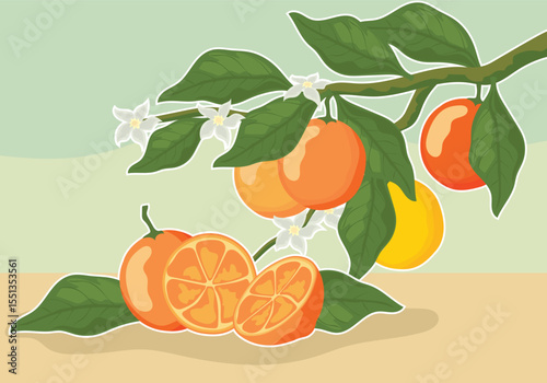 Charming vintage citrus fruit illustrations featuring lemons oranges and limes in a classic artistic style