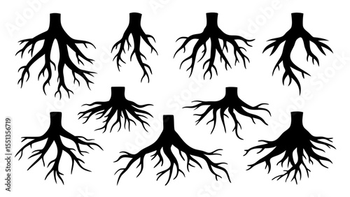 Set of tree roots silhouette