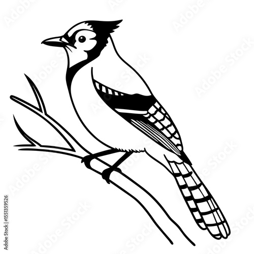 Line Art of a Blue Jay Bird Perched on a Branch – Vector Illustration