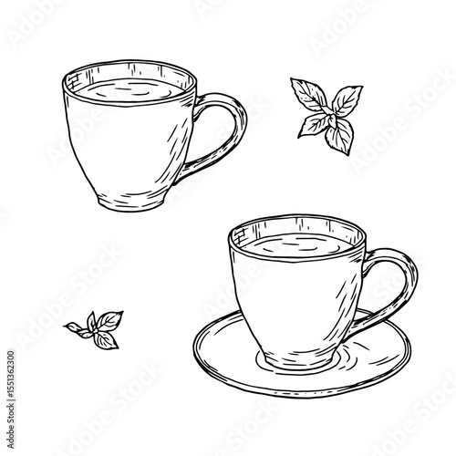 Porcelain mugs with tea, black and white ink sketch. Vector illustration. A set of tea cups, mint leaves, isolated on a white background. The theme of cuisine, cooking, cafes and restaurants