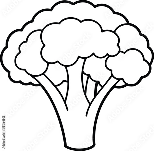 Simple Broccoli Outline Illustration for Coloring Books and Educational Materials