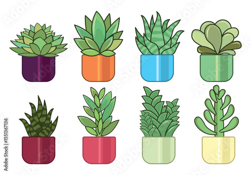 Vibrant assortment of succulent plants in a stylized botanical illustration with detailed leaf textures