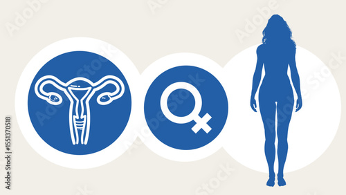 women’s health, reproductive system, uterus and ovaries – template, banner, infographic – vector illustration