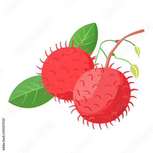 vector illustration of ripe raspberries