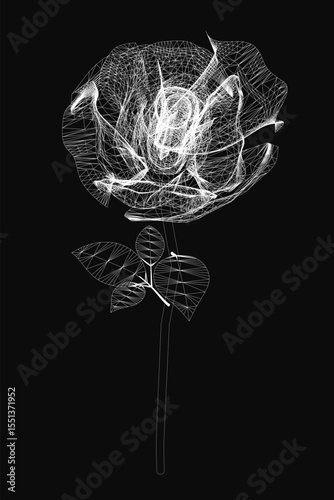 A delicate white rose stands out against a dark black background, its petals softly unfurling with intricate detail. The stark contrast enhances the flower's elegance, while subtle shadows add depth.