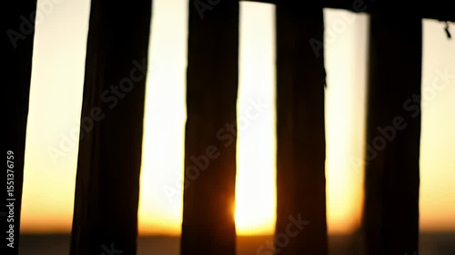 Sun rays peeking between vertical wooden planks