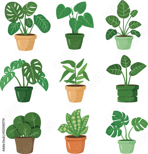Cute Potted Houseplants Set – Scandinavian Style Plant Illustration