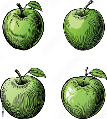 Four green apples with leaves hand drawn illustration