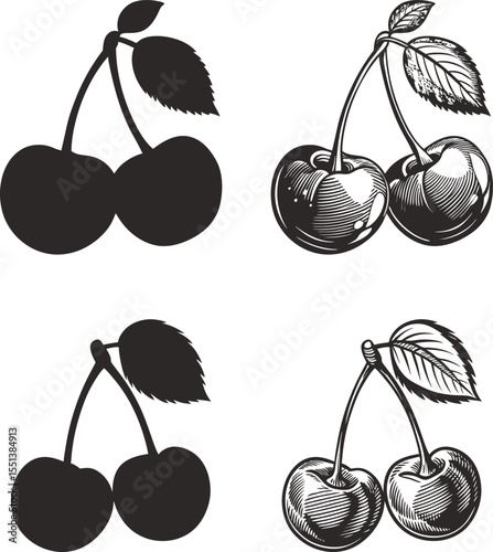 Cherries illustration silhouettes and detailed drawings of two cherries with leaves