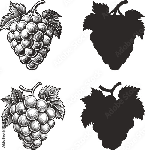 Detailed grape bunches with leaves illustrated in black and white with silhouettes