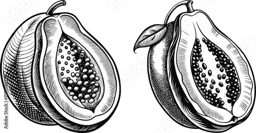 Two papaya illustrations whole and halved showing seeds and skin detail