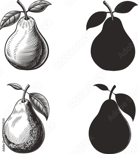 Detailed pear illustrations with solid silhouettes showing fruit and leaves
