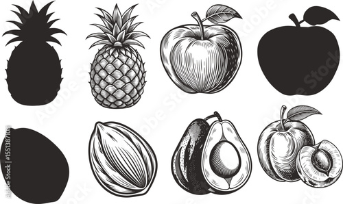 Fruit illustrations pineapples, apples, avocados and apricots silhouettes and detailed drawings