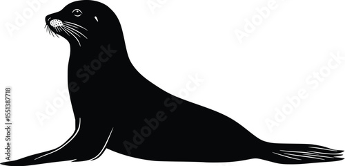 Sea lion silhouette vector illustration, aquatic mammal, black, profile view, wildlife, ocean animal, editable vector graphic, isolated on white, simple