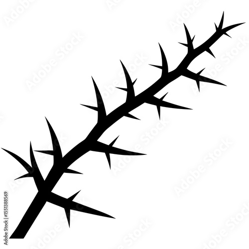 barbed wire isolated on white
