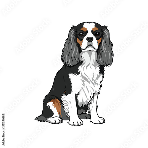 "Cavalier King Charles Spaniel Illustration – Cute Tricolor Dog Sitting Pose"

