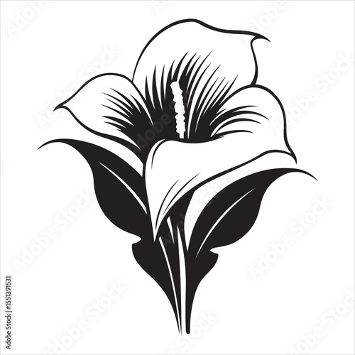 Peace lily flower silhouette