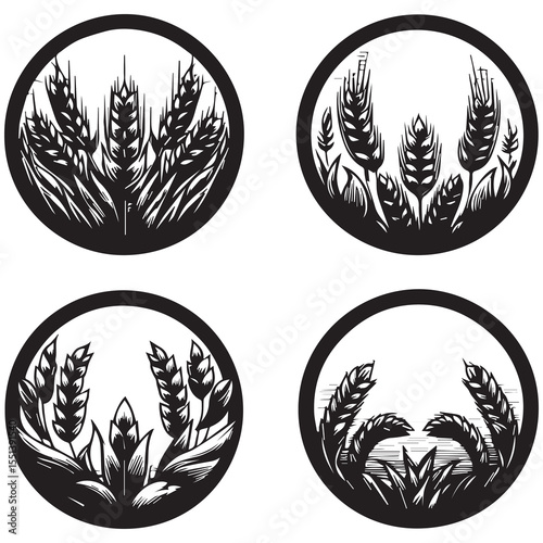 Round wheat illustration design with white baground